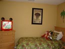 Jungle Themed Room